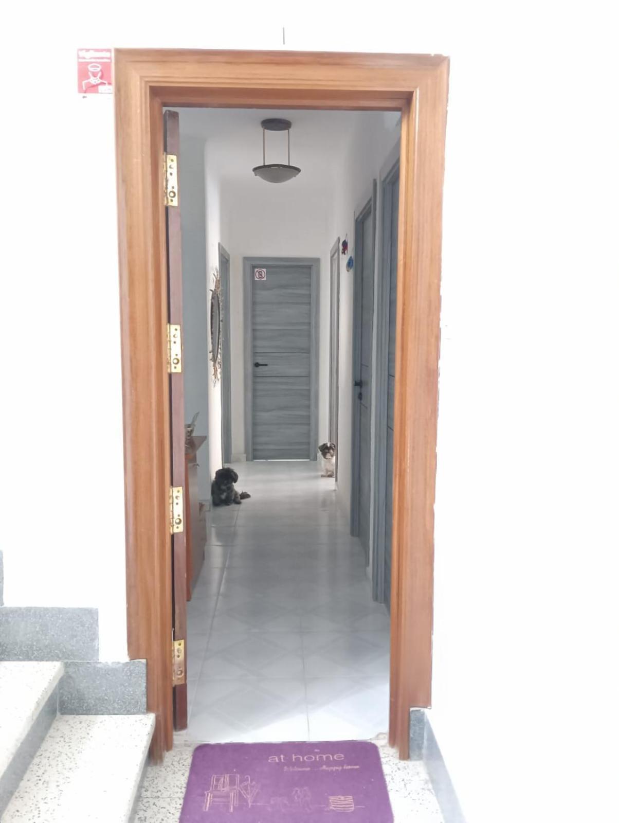 Alicante Habitacion Oasis Екстер'єр фото