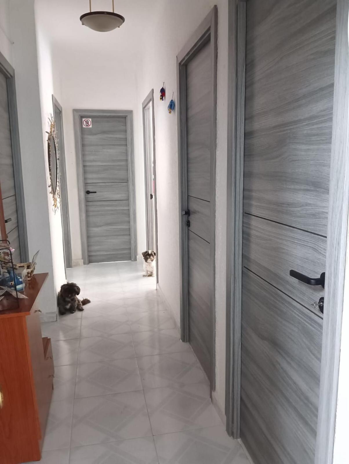 Alicante Habitacion Oasis Екстер'єр фото